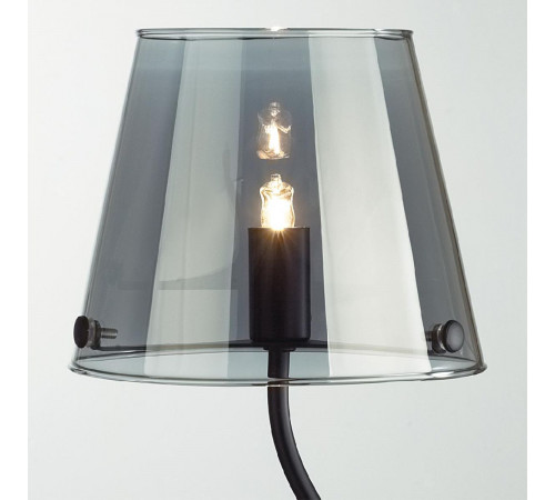 Настольная лампа Lumion Smoky 6570/1T Настольная лампа Lumion Smoky 6570/1T