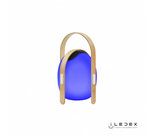 Настольная лампа iLedex Giggle OVS0990-CH WH