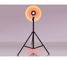 Настольная лампа Ambrella Light Desk DE8387