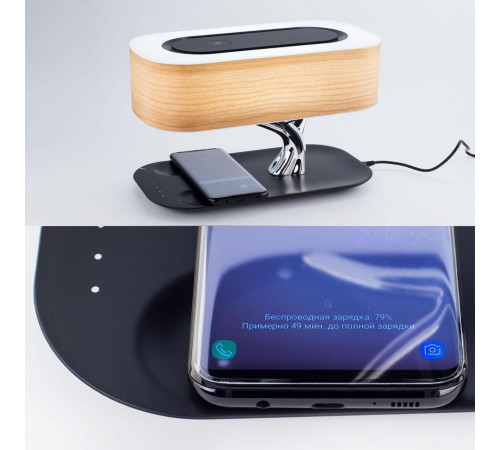 Настольная лампа Citilux Ньютон CL803042