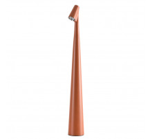 Настольная лампа Arte Lamp Fusion A3283LT-2BR