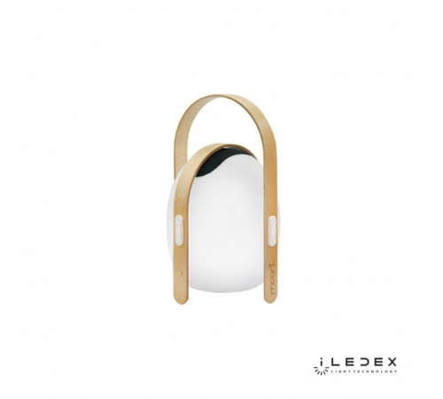 Настольная лампа iLedex Giggle OVS0990-CH WH