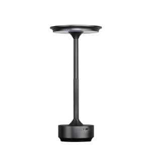 Настольная лампа Odeon Light Tet-a-tet 5034/6TL