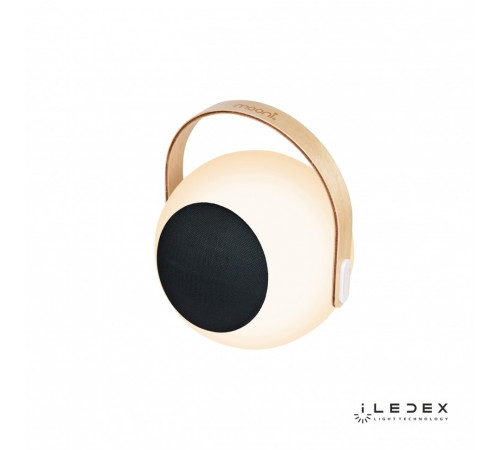 Настольная лампа iLedex Giggle EYS0970-CH WH Настольная лампа iLedex Giggle EYS0970-CH WH