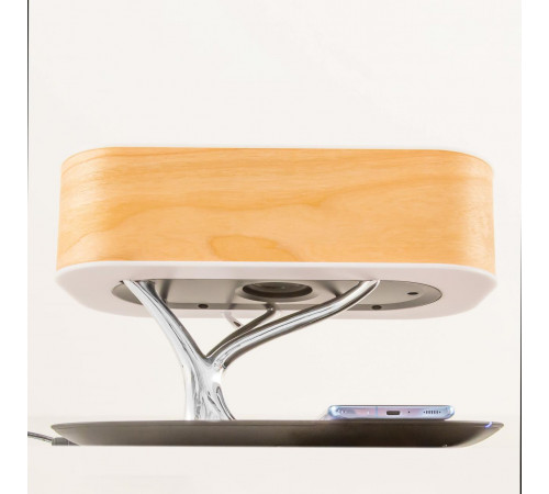 Настольная лампа Citilux Ньютон CL803042