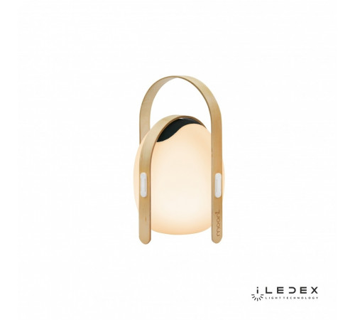 Настольная лампа iLedex Giggle OVS0990-CH WH