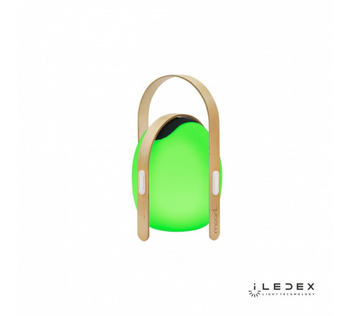Настольная лампа iLedex Giggle OVS0990-CH WH