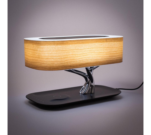 Настольная лампа Citilux Ньютон CL803042