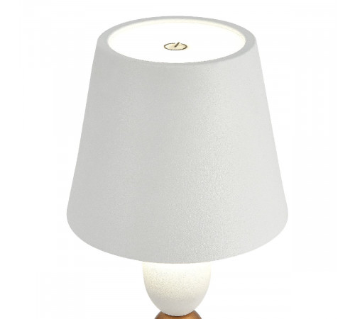 Настольная лампа ST Luce Ease SL1011.514.01