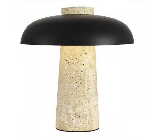 Настольная лампа ST Luce Earthy SL1194.424.01
