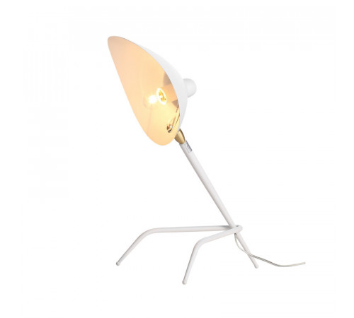 Настольная лампа ST-Luce SL305.504.01 Настольная лампа ST-Luce SL305.504.01