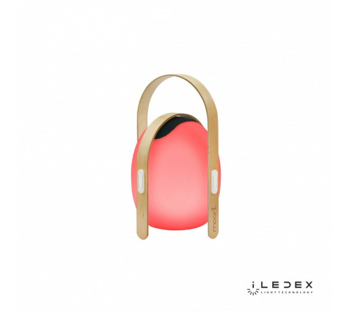 Настольная лампа iLedex Giggle OVS0990-CH WH