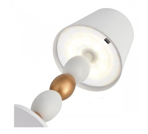Настольная лампа ST Luce Ease SL1011.514.01