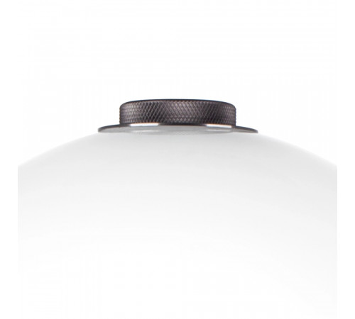 Настольная лампа Lightstar Colore 805916 Настольная лампа Lightstar Colore 805916
