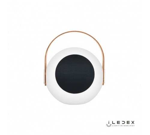 Настольная лампа iLedex Giggle EYS0970-CH WH Настольная лампа iLedex Giggle EYS0970-CH WH