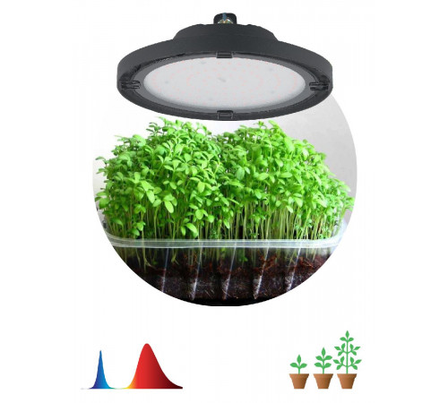 Фитопрожектор для растений Эра FITO-50W-RB-LED-UFO Б0053280 Фитопрожектор для растений Эра FITO-50W-RB-LED-UFO Б0053280