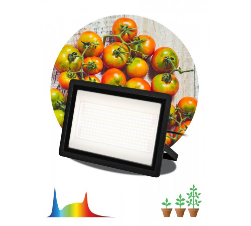 Фитопрожектор Эра FITO-150W-Ra90-LED Б0059880