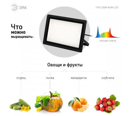 Фитопрожектор Эра FITO-200W-Ra90-LED Б0059879