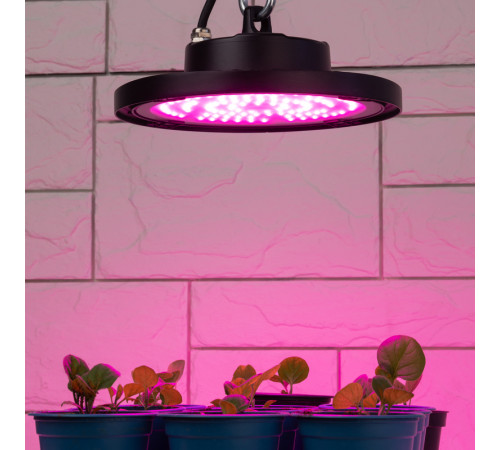 Фитопрожектор для растений Эра FITO-50W-RB-LED-UFO Б0053280 Фитопрожектор для растений Эра FITO-50W-RB-LED-UFO Б0053280