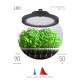 Фитопрожектор для растений Эра FITO-50W-RB-LED-UFO Б0053280