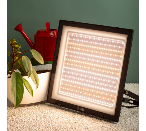 Фитопрожектор Эра FITO-200W-Ra90-LED Б0059879