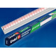 Настенный светодиодный светильник (UL-00003957) Uniel ULI-P16-10W/SPLE IP20 White