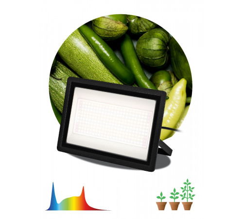 Фитопрожектор Эра FITO-200W-Ra90-LED Б0059879