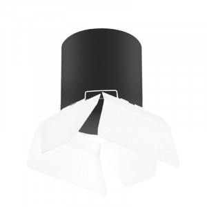 Накладной светильник Lightstar Rullo (213487+202486) R3487486