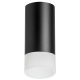 Накладной светильник Lightstar Rullo R43731 (214437+202431)