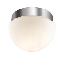 Потолочный светильник Odeon Light Minkar 2443/1A