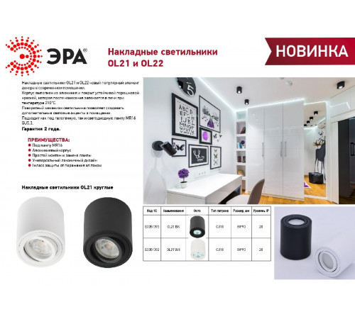 Накладной светильник Эра OL22 WH Б0054394