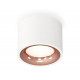 Потолочный светильник Ambrella Light Techno Spot XS7510025 (C7510, N7015)