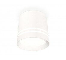 Потолочный светильник Ambrella Light Techno Spot XS8110007 (C8110, N8477)