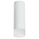 Накладной светильник Lightstar Rullo R48631 (214486+202431)
