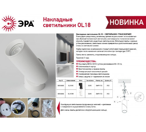 Накладной светильник Эра OL18 BK Б0054385 Накладной светильник Эра OL18 BK Б0054385