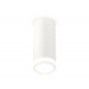 Потолочный светильник Ambrella Light Techno Spot XS7442012 (C7442, N7120)