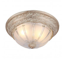 Потолочный светильник Arte Lamp Piatti A8014PL-2WA