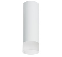 Накладной светильник Lightstar Rullo R48631 (214486+202431)