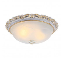 Потолочный светильник Arte Lamp Torta A7152PL-2WG