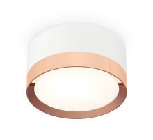 Потолочный светильник Ambrella Light Techno Spot XS8101006 (C8101, N8126)