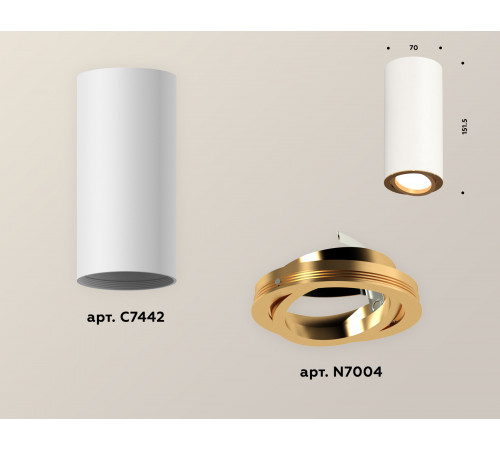 Накладной поворотный светильник Ambrella Light Techno XS7442004 (C7442, N7004)