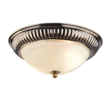 Потолочный светильник Arte Lamp 28 A3016PL-2AB