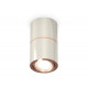 Потолочный светильник Ambrella Light Techno Spot XS7405080 (C7405, A2072, C7405, N7195)
