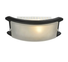 Потолочный светильник Arte Lamp A6462AP-1CK