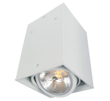 Потолочный светильник Arte Lamp Cardani A5936PL-1WH