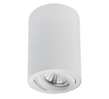Накладной светильник Arte Lamp Sentry A1566PL-1WH