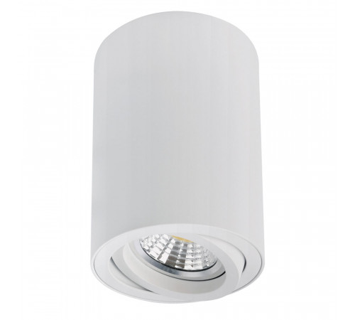 Накладной светильник Arte Lamp Sentry A1566PL-1WH