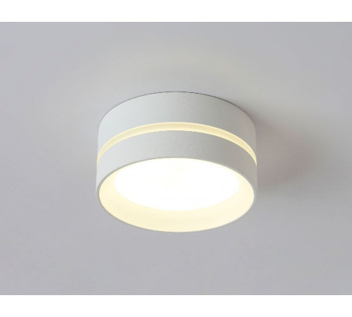 Накладной светильник Ambrella Light IP Protect TN5391 Накладной светильник Ambrella Light IP Protect TN5391