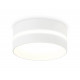 Накладной светильник Ambrella Light Techno TN5388