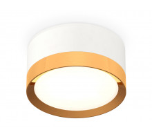 Потолочный светильник Ambrella Light Techno Spot XS8101005 (C8101, N8124)